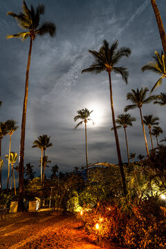Night image of tall palm trees with full moon and orange lit sand beach in the Philippines