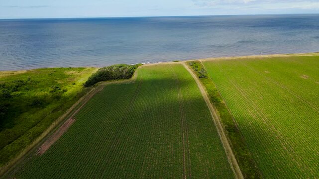 High-angle aerial view of agricultural crop fields near ocean coast, PEI, Canada