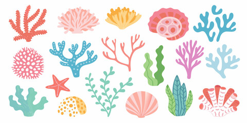 Coral Seaweed And Shell Illustrations On A White Background © Ruhidas