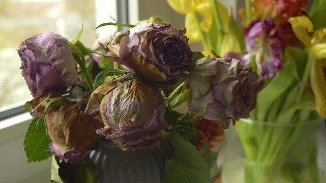Fading rose bouquet with dry petals and soft light