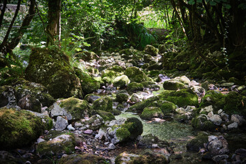 Paisaje de fantasía en bosque de Asturias. Río entre rocas  y musgo. Bosque mágico © Sergio
