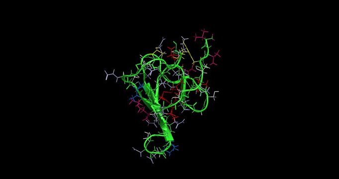 Hirudin, leech venom protein for blood clot prevention and anticoagulant research, 3D molecule spinning, 4K