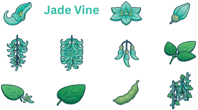 Jade vine botanical icon set featuring tropical flowers hanging clusters leaves buds and vine plant elements vector illustration