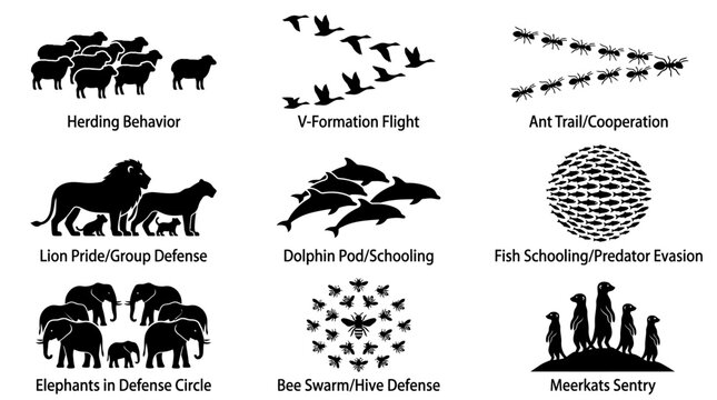 Herding animals in various formations.