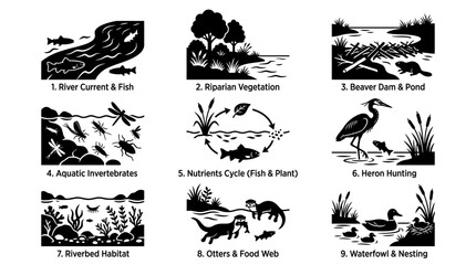 Obraz premium River Current and Fish.