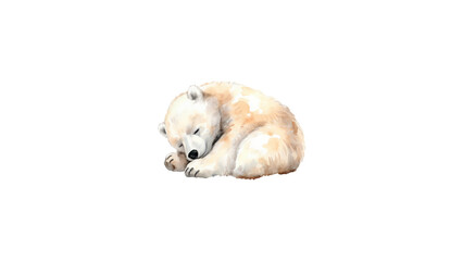 Sleeping Polar Bear Cub Watercolor Illustration, Isolated on White Background. Cute Arctic Baby Animal Clipart for Nursery Decor. © Hxn_Tariq