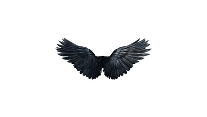 Fototapeta premium Black Crow Wings Isolated on White Background - Dark Fantasy Raven Feathers Cutout for Design