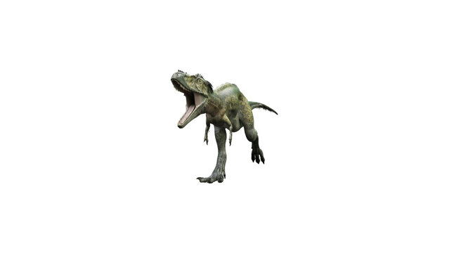 Allosaurus Dinosaur Roaring Isolated on White Background Prehistoric Predator 3D Render
