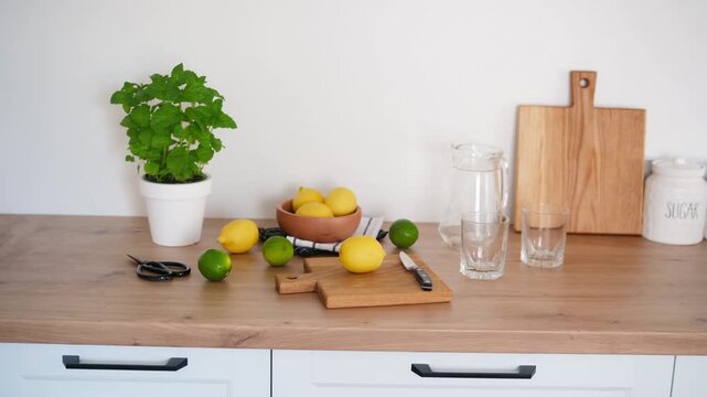 Lemons and limes on kitchen counter with plant and pitcher