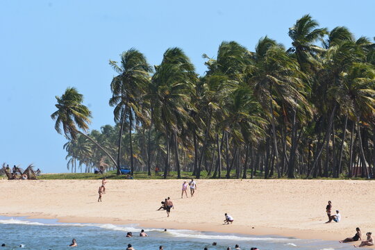 praia do gunga - rn
