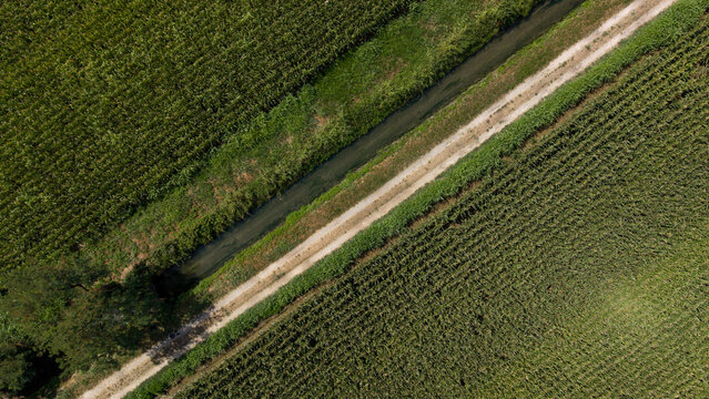 Rural Road Through Fields: An aerial view showcases a narrow dirt road cutting through vast, green agricultural fields, bordered by lush vegetation.