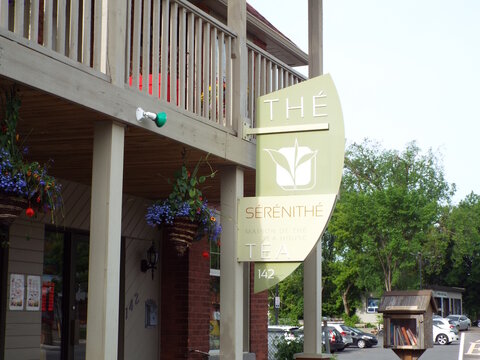 Gatineau,Quebec, Canada &ndash; June 4, 2026: The green "S&eacute;r&eacute;nit&eacute; Th&eacute;" and "Tea House" hanging sign is displayed outside 142 Rue Principale.