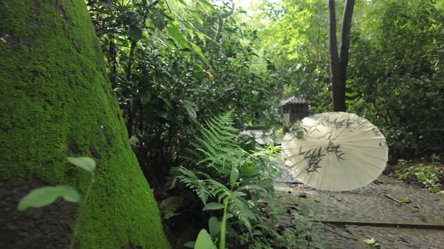 Rotating Traditional Chinese Paper Umbrella in Green Nature Garden