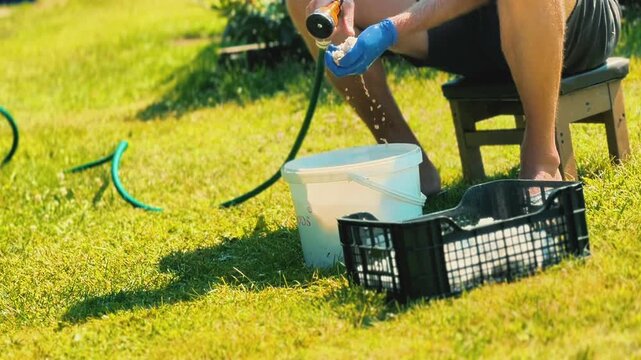 A man wearing protective gloves washes white pool filter balls using a garden hose nozzle, bucket, and crate on a sunny backyard lawn.