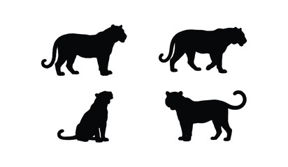 Black tiger silhouettes in different positions © Paresh