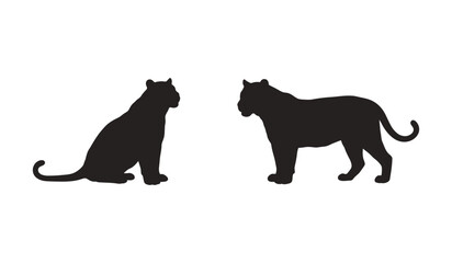 Two Tigers Facing Each Other, Sitting and Standing Silhouette © Paresh
