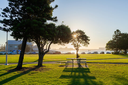 Green parkland recreational area along foreshore in Newcastle - Camp Shortland