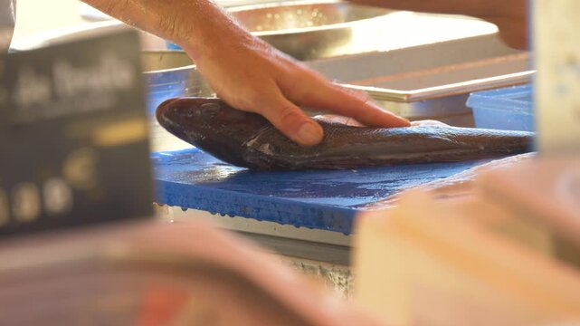 Fish cutting process at seafood market in Nice France