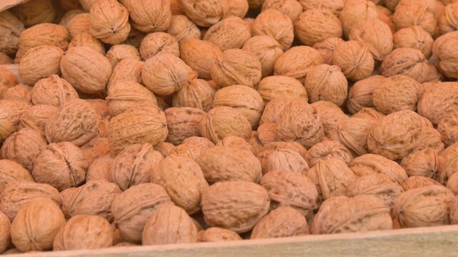 Fresh walnuts in shell at local market