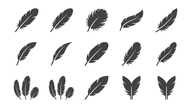 Assorted bird feather silhouette icon set.