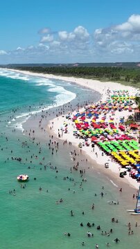 French Beach At Maceio Alagoas Brazil. Breathtaking Aerial View Of A Lush Tropical Coastline Scenery. Shore Sky Clouds Beach Sea. Shore Beach Panorama. Maceio Alagoas.