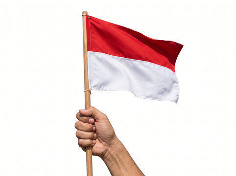 Hand holding Indonesian flag isolated on white background. Independence day concept