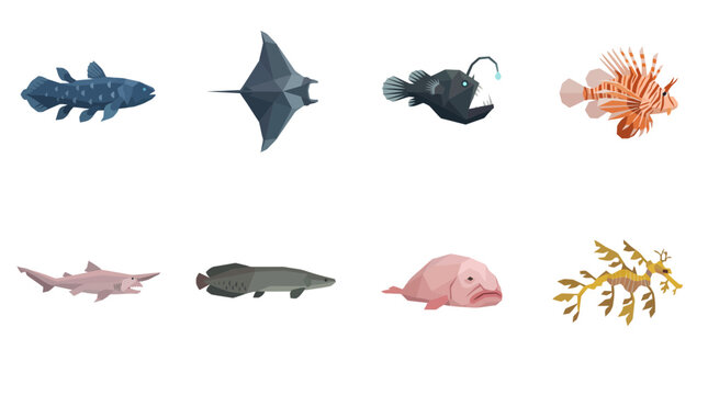 Set of various deep sea and exotic fish species illustrated in a flat geometric style.