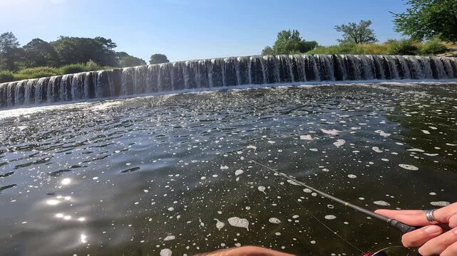 POV successful angler scooping a hooked European Chub (Squalius cephalus) into a landing net at a river weir.