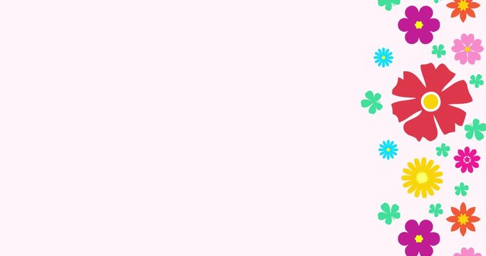 Colorful floral vector animation with a soft pink background and copy space.