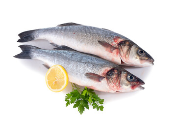 Fototapeta premium seabass