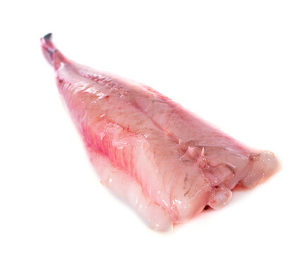 monkfish