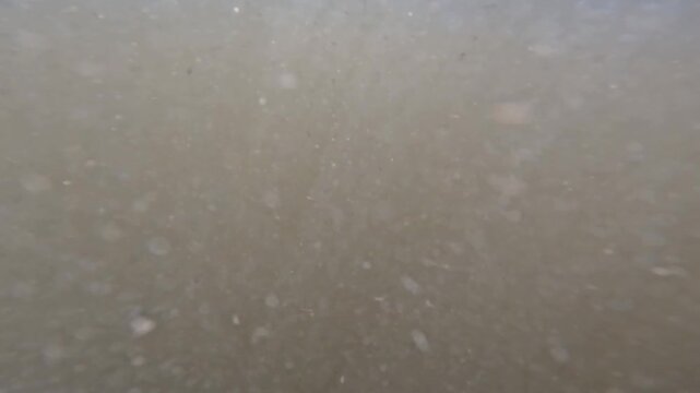 Underwater view of murky river water with floating particles transitioning above surface to a cascading weir on a sunny summer day.
