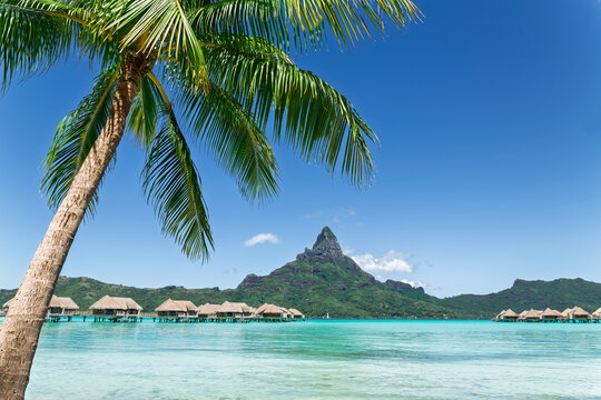 View of the Otemanu mountain with palm tree and stunning lagoon. Bora-Bora. Tahiti. Polynesia