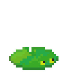 Fototapeta premium Pixel lilypad
