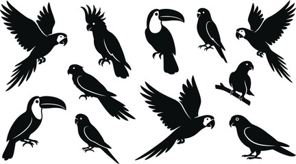 Set of black parrots and toucan silhouettes © SAYEDAJANNATUL