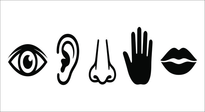 Human sense organs silhouettes against a white background featuring eye ear nose hand and lips