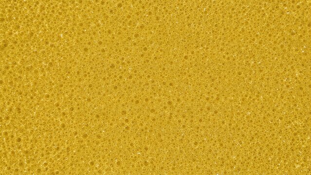 Close-up of a yellow sponge surface with tiny pores and texture.