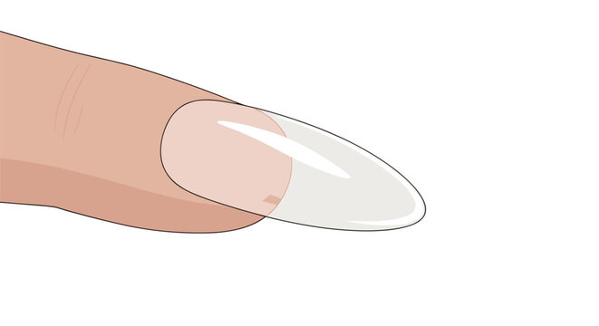 Human finger showing a clear acrylic or gel nail extension representing manicure and cosmetic nail care.