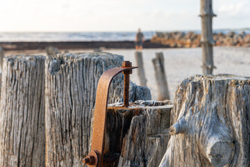 Fototapeta premium Weathered wooden posts on a beach. Old timber breakwater with rusty metal hardware.