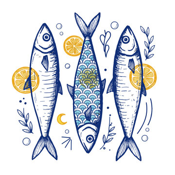 Sardines Lemon Fish Coastal Ocean Nautical Sea