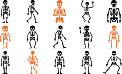 Obraz premium A comprehensive halloween vector bundle featuring various illustrated skeleton characters in different poses and styles for festive holiday graphic design projects
