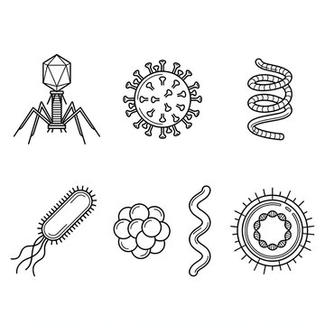 Microscopic pathogen collection featuring various biological structures and viral shapes in linear vector style