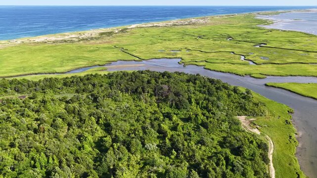 An extensive salt marsh inside Pleasant Bay, Cape Cod, grows right up to the edge of the Atlantic Ocean. Marshes provide critical habitat for many birds, fish, and marine invertebrates.