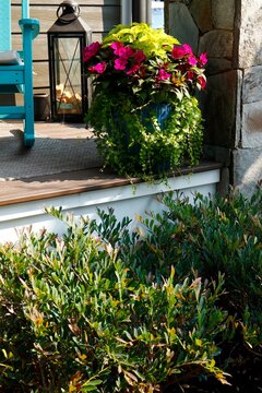 Decorative porch with potted flowers