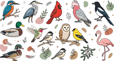 Colorful Wild Bird Icon Collection with Kingfisher Heron Cardinal Cockatoo Owl Flamingo Duck Hummingbird and Garden Bird Illustrations © MdShakil