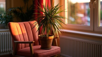 Fototapeta premium Morning sunlight illuminating chair and potted plant by open window
