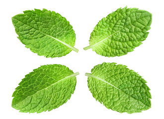 Set of four fresh mint leaves, isolated on transparent cutout background © Yeti Studio