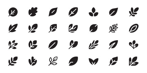 Fototapeta premium Natural organic leaf icon collection with various botanical shapes and black silhouette elements.