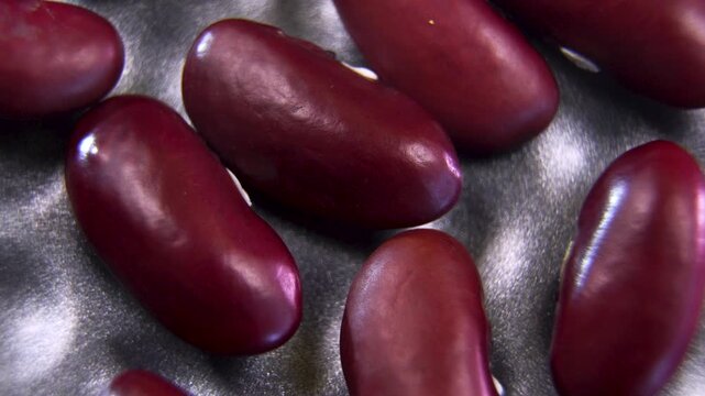 Detailed macro view of red kidney bean Phaseolus vulgaris highlighting seed hilum anatomy