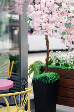 Decorative artificial cherry blossom tree with blooming flowers and green leaves decorating outdoor street cafe terrace.